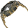 Orë dore Casio G-Shock GD 120CM-5