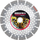 Disk diamanti Samedia SHOXX RX13, 350mm, 25.4mm, ngjyrë argjendtë