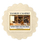 Dyll qiriu Yankee Candle, Winter Wonder, 22 g
