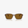 Ray-Ban RB2231 141833 56