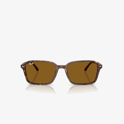 Ray-Ban RB2231 141833 56