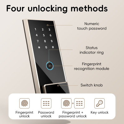 Deli Kasaforte Elektrike Fingerprint 450Mmx320Mmx380Mm T596