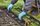 Bordurë kopshti UNIBORD Straight Edging, 18m, 4.5cm, e zezë