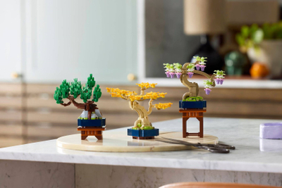 Set LEGO Botanicals Small Bonsai Trees 10373, 709 pjesë, dekorativ, shumëngjyrësh
