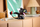 Set ndërtimi LEGO Icons 10375 Toothless, 784 pjesë, How to Train Your Dragon, i zi