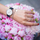 Orë dore Daniel Wellington Classy Sheffield Silver H24-336