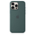 Apple iPhone 16 Pro Max Silicone Case with MagSafe, Lake Green (Seasonal)