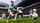 Loja Xbox EA Sports FIFA 23, Xbox Series X, futboll, shumëngjyrëshe