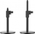Mikrofon Preyon USB Buzzard Scream, i zi