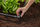 Lidhës këndor Gardena Micro Drip, 13 mm 1/2", i zi
