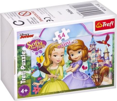 Puzzle 54 Bota mini magjike e Princeshës 1