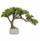 Bimë dekorative artificiale Atmosphera Polin, bonsai, vazo qeramike, jeshile, 45cm