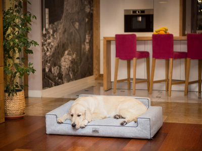 Кревет за кучиња Hobbydog Velvet XXL, 116x78 cm, сив