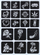 Set tatuazhesh me shkëlqim pa markë, 120 shabllone, 24 ngjyra glitter, shumëngjyrësh