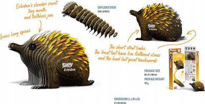 Puzzle 3D Eugy Echidna, model kartoni, shumëngjyrësh