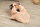 Mbështjellëse për ulëse makine Sensillo Velvet XL Peach Picnic, pambuk velvet, për foshnje, e pjeshkës me print