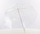 Çadër Blooming Brollies, transparente