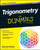 Trigonometry for Dummies - Mary Jane Sterling