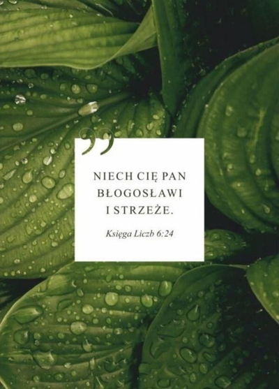 Kartolinë urimi Koinonia May the Lord Bless You Leaves, e palosme, me zarf C6