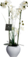 Bimë artificiale Atmosphera Orchid, me vazo qeramike, 53 cm, e bardhë