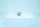 Lojëra me tulla LEGO Creator 31131 Fierce Shark, set ndërtimi 3 në 1, me arkë thesari
