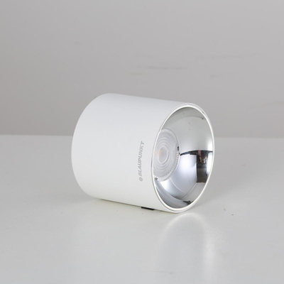 Spot LED tavanor Blaupunkt Roller, 10W, 3000K, i bardhë