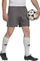 Pantallona të shkurtra adidas Entrada 22 M H57505, Aeroready, poliester i riciklu, gri