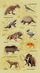 Sticker Teka Animals Extinct Species, dekor, shumëngjyrësh