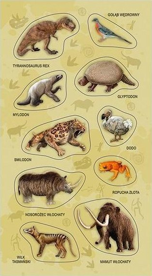 Sticker Teka Animals Extinct Species, dekor, shumëngjyrësh