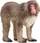 Figurinë lodër Schleich Japanese Macaque Wild Life, majmun japonez, shumëngjyrëshe