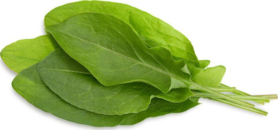 Kapsula bime Click & Grow Green Sorrel, 3-pack, për kopsht smart, e gjelbër
