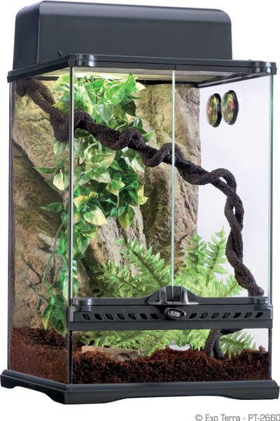 Dekorim për terrarium Hagen, i kaftë
