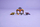 Set LEGO Ninjago SPINJITZU Dragon Battle Pack 71826, me dragoj luftarake, për fëmijë