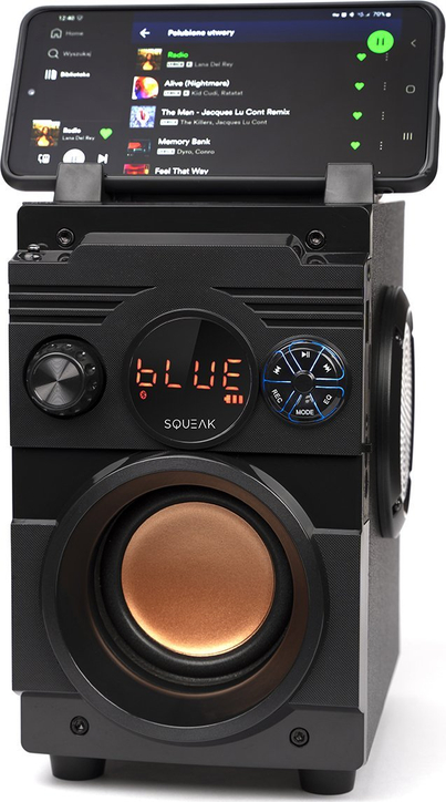 Product Picture