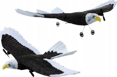 Aeroplan lodër me telekomandë Leantoys R/C Eagle, 2.4G, hapje krahësh 41 cm, bardh e zi