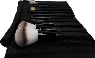 Set furçash makeup OSOM PF0082TY-12P, 12 copë, me këllëf, rozë