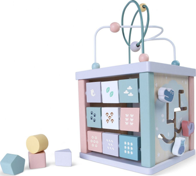 Kub druri edukativ ECOTOYS, sorter formash, labirint rruazash, ngjyra pastel
