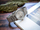 Orë për meshkuj Casio, e argjendtë