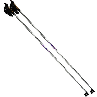 Shkopinj skish nordike LEKI Rental CC, alumin HTS 6.0, 120 cm, gri
