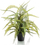 Вештачко растение Emerald Boston Fern, 70 cm, пластична саксија, црна