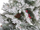 Pemë artificiale Krishtlindjesh Masala Snowy Christmas Tree, 180 cm, me borë dekorative, e bardhë