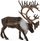 Figurë Collecta Reindeer Woodland Caribou drer pylli