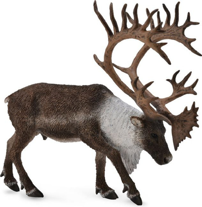 Figurë Collecta Reindeer Woodland Caribou drer pylli