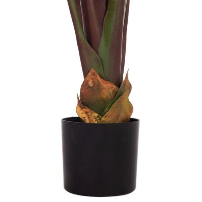 Bimë dekorative sintetike HM4740 Japanese Banana, 225cm, në vazo, jeshile