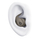 Powerbeats Fit - Wireless NC Workout Earbuds with Secure Fit, Gravel Grey