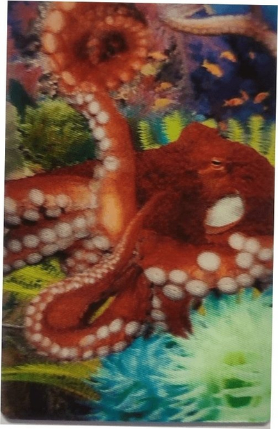 Kartolinë 3D Worth Keeping Mini Octopus, për zbukurim, me oktapod, plot me ngjyra