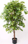 Bimë plastike Emerald Ficus Deluxe, 140 cm, në vazo, jeshile