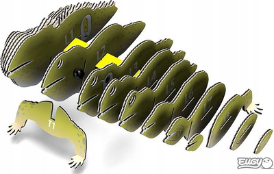 Puzzle 3D Eugy Tuatara, 24 pjesë, lodër edukative, për fëmijë 6+
