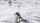 Lojë për kompjuter Star Wars: Battlefront II (2005) PC, version dixhital