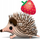 Model kartoni 3D Safari Ltd EUGY Hedgehog, lodër iriq, shumëngjyrësh